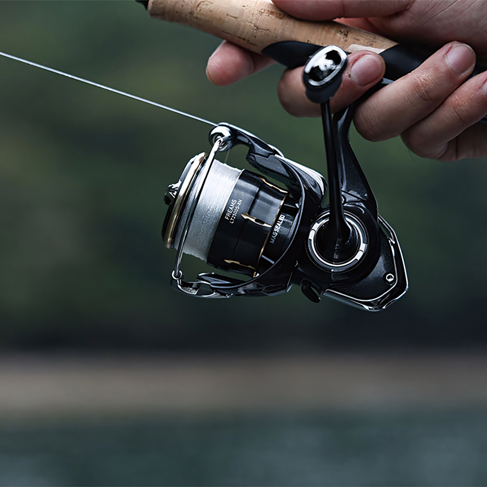 DAIWA 2026 FREAMS Spinning Ree - Daiwa Reel Fuego review and price